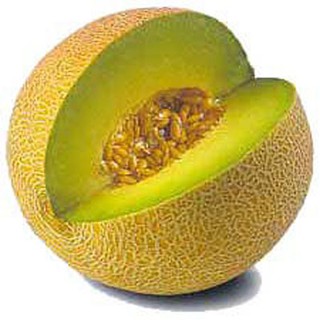 Hạt giống dưa lưới vàng ( gói 100 hạt )