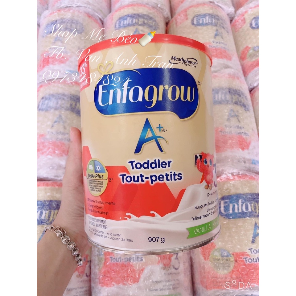 Sữa bột enfagrow Canada lon 907gram