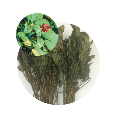 Lá Sâm Ngọc Linh TRIMICO sấy khô đạt chuẩn 100g/Hộp