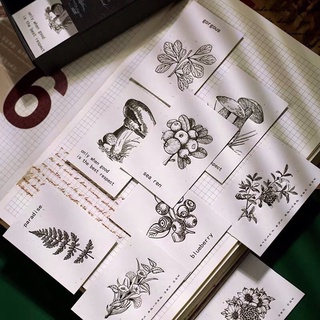 Sticker material paper