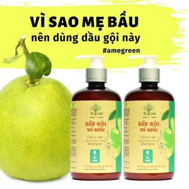 Dầu gội thiên nhiên AmeGreen