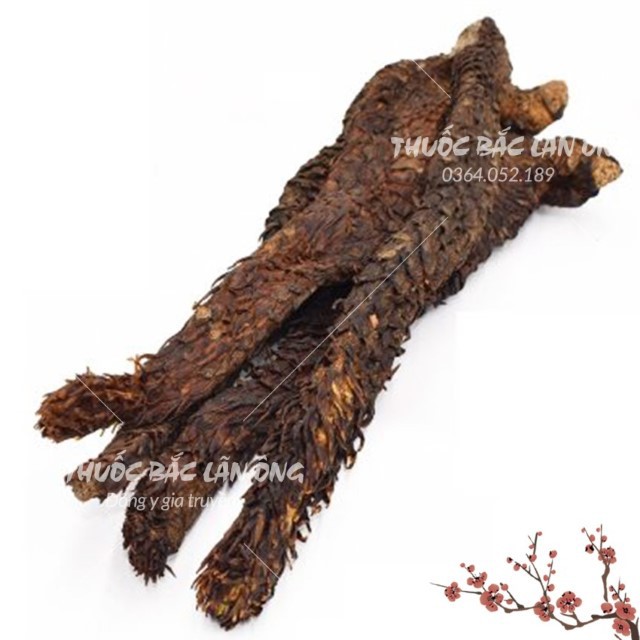 Nhục Thung Dung 200g (Củ Loại 1,To,Thơm)