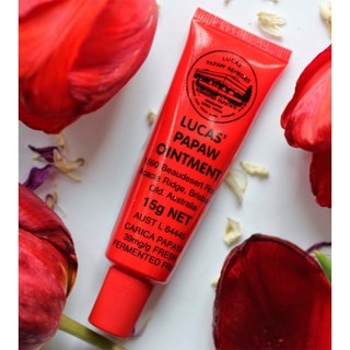 Kem đa năng lucas papaw Ointment 25gr Úc