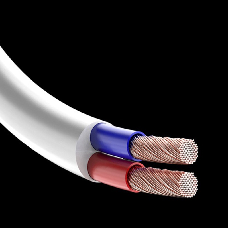 Adapter Sạc Nhanh 10 Cổng USB 5V 2 4A 1A Cho Điện Thoại Android PC