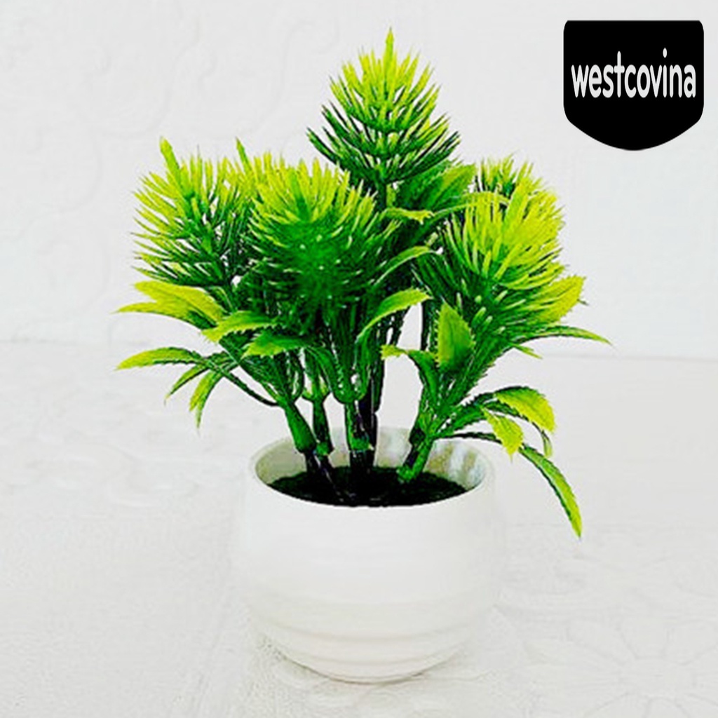 [Hot]☀ Chậu Cây Bonsai Bằng Nhựa Không Phai Màu Dùng Trang Trí