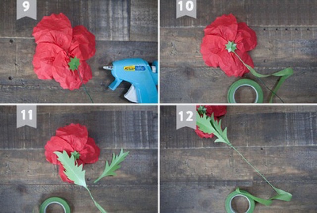 Sáp cuốn cành màu xanh- nâu