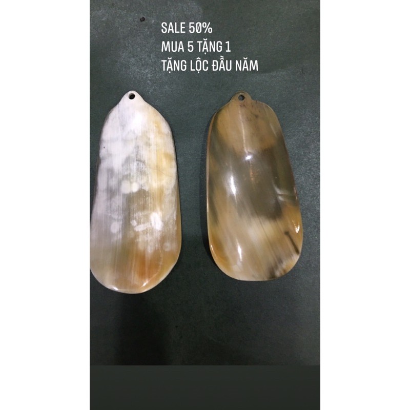 [Freeship]  Đón giày sừng Trâu
