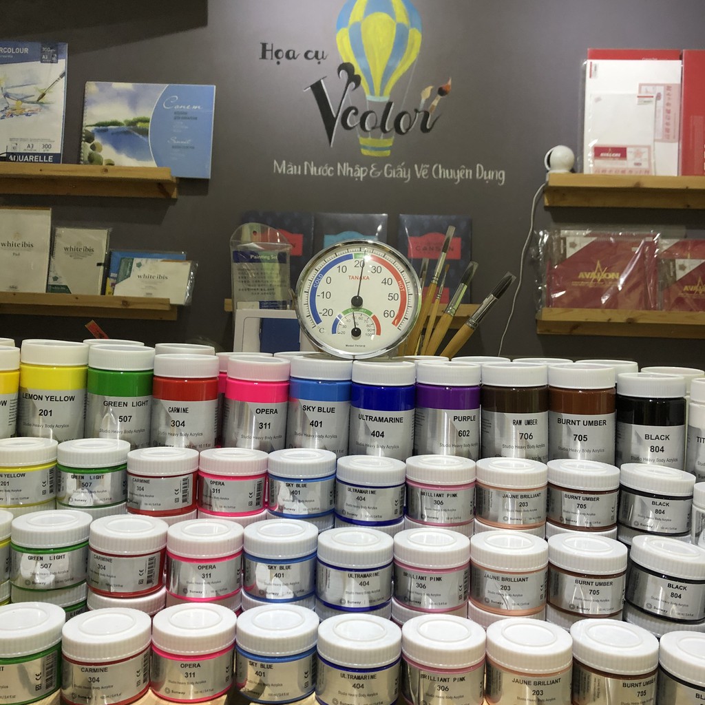 Màu acrylic Sunway 300ml, 100ml - Màu Acrylic Sunway Đài Loan vẽ tranh tường, canvas, toan