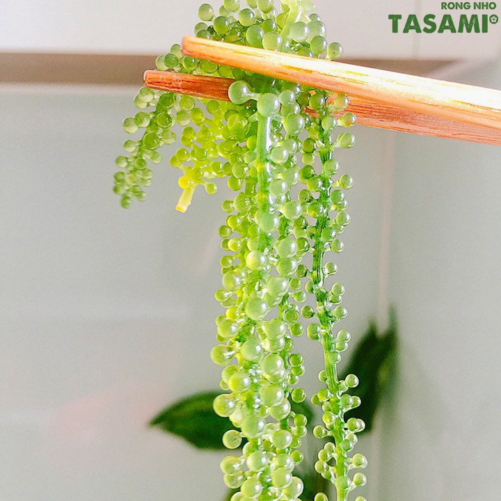 Rong Nho Tasami Kèm Các Vị Xốt 1 gói - Phomai Cay, Xốt Mè Rang, Tương Wasabi