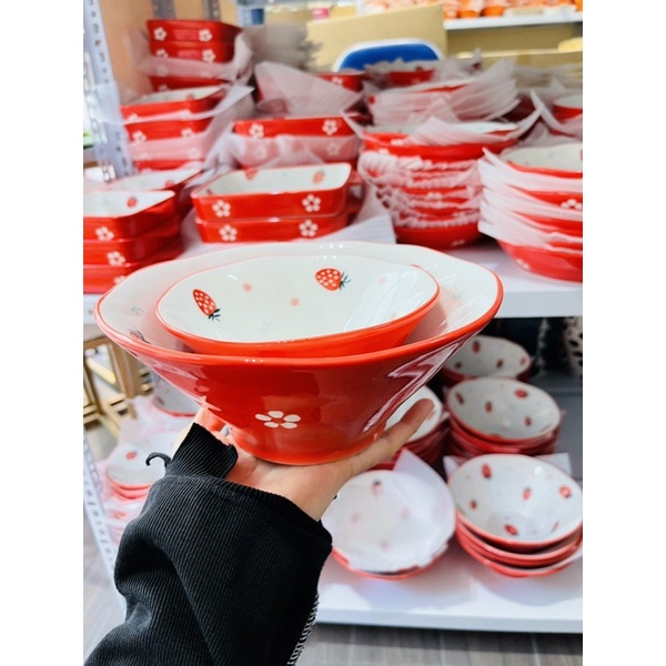 Bộ bát đĩa gốm sứ decor bộ dâu tây siêu đáng yêu