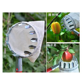 Công cụ hái trái cây ngoài trời - Thực hành công cụ hái vườn