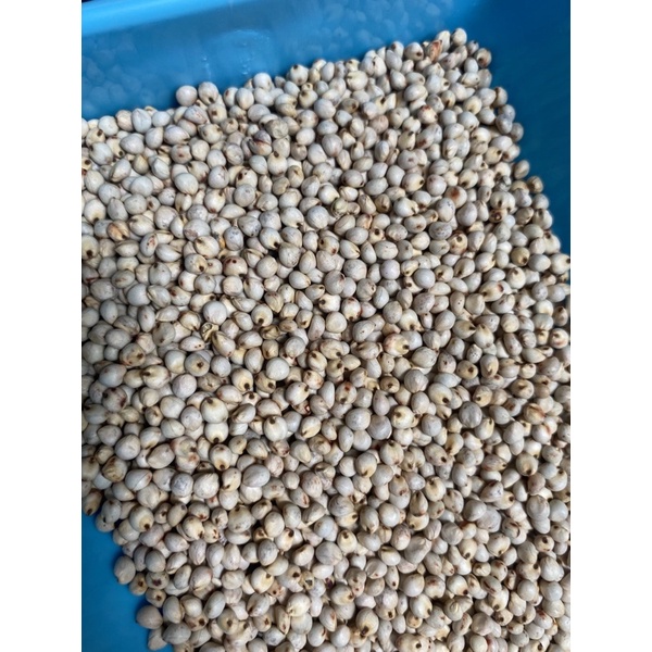 Hạt Bobo Trắng dành cho gà đá, hạt trộn hamster  - Pet Food Store.