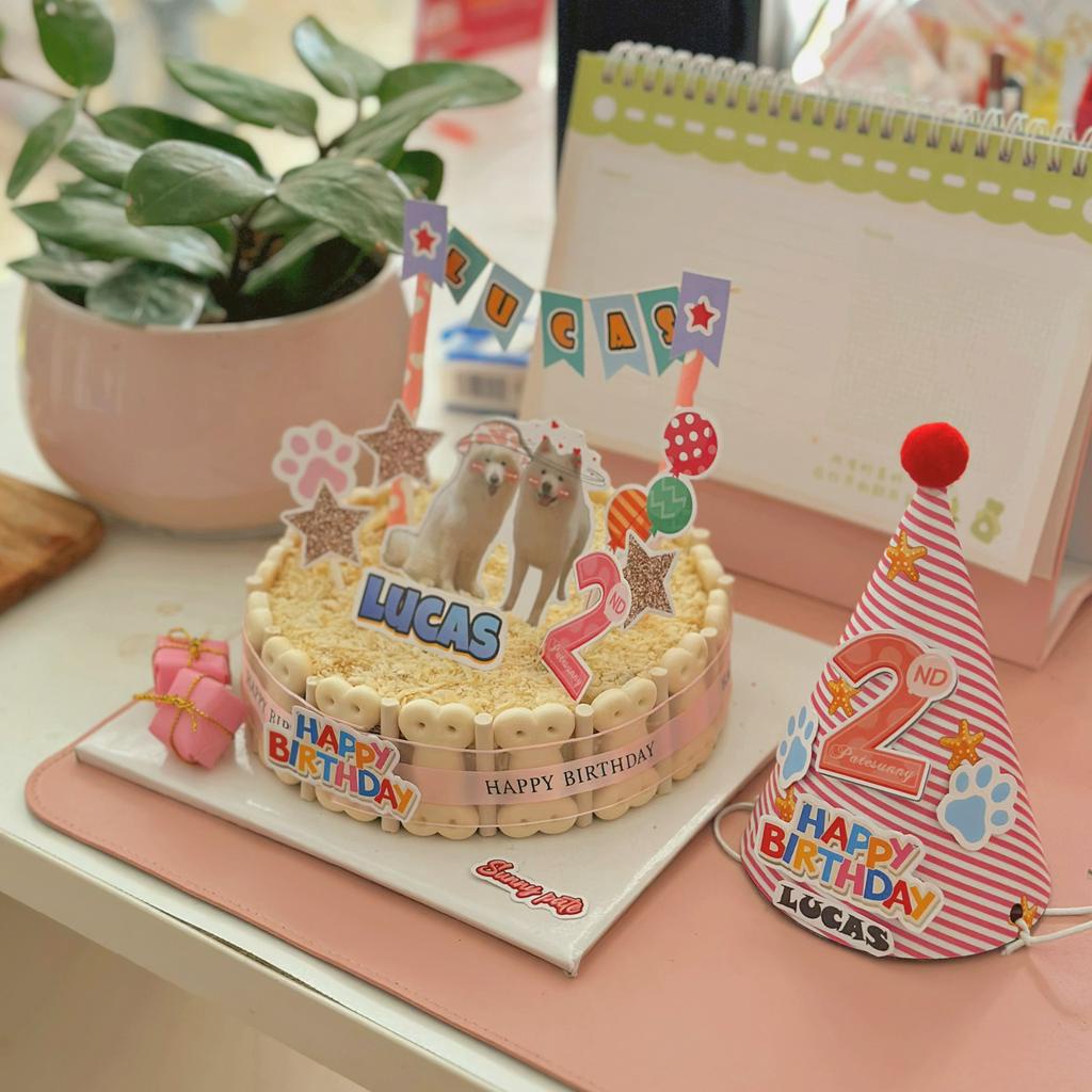 Nón sinh nhật cho thú cưng in số tuổi theo yêu cầu - Nón đội cho thú cưng - Birthday party - Sunnypate