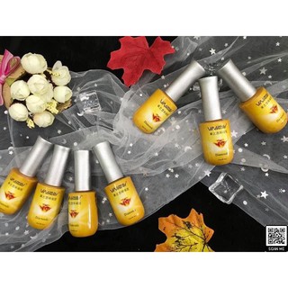 Sơn bóng cường lực VINIMAY ( TOP chai vàng )