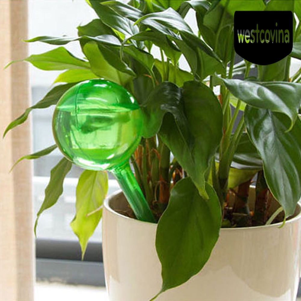 [Hot]☀ Thiết Bị Tưới Cây Tự Động Hình Bóng Đèn