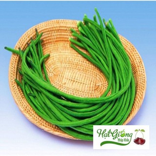 Hạt giống đậu đũa LINH NGOC