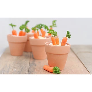 hạt giống carot mini f1