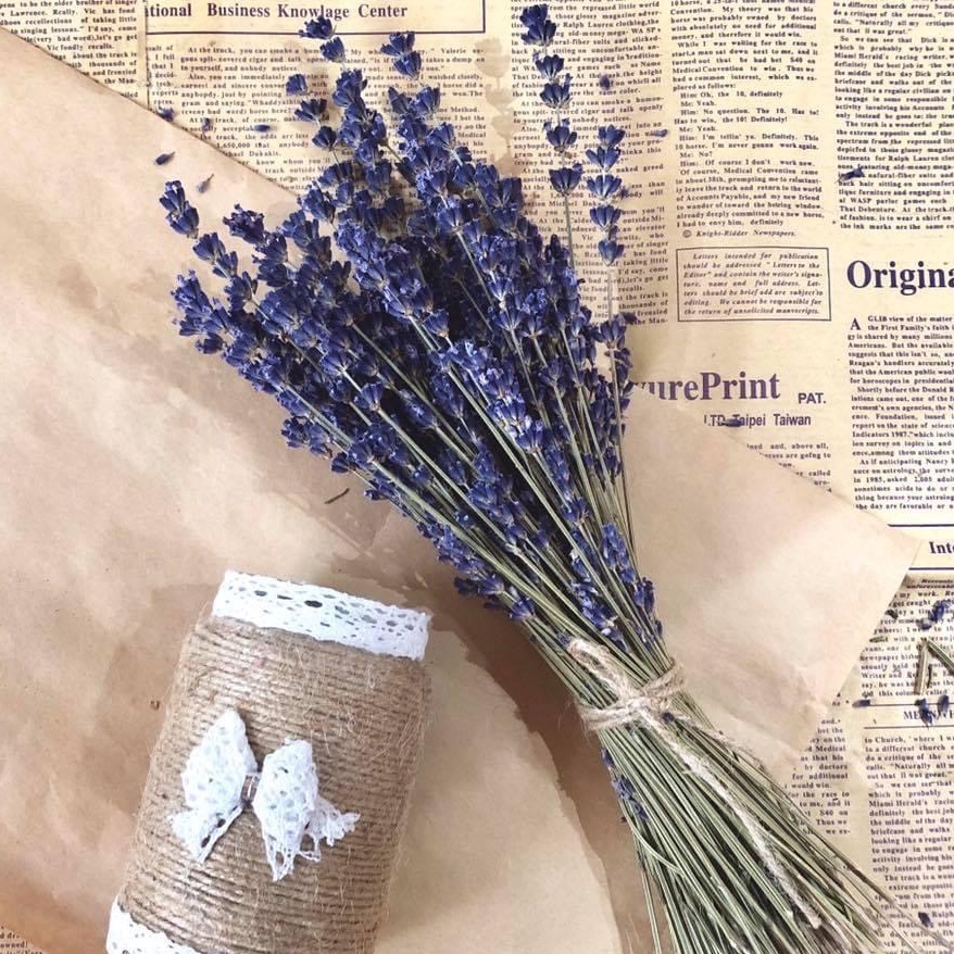 Hoa khô Lavender, hoa oải hương khô hàng cao cấp, có mùi thơm