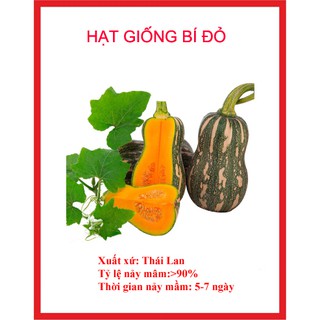 Hạt giống bí đỏ siêu quả gói 20 hạt
