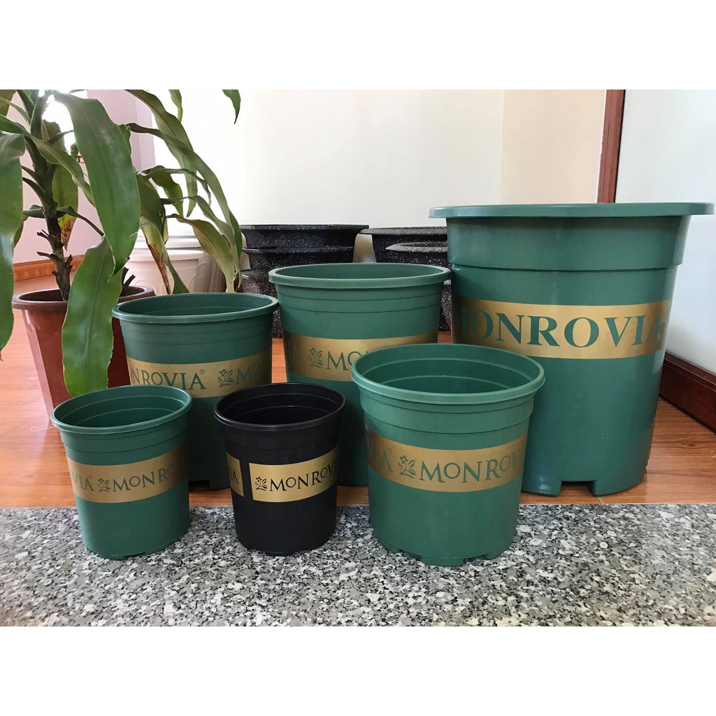 Chậu Monrovia VIỆT NAM 5GL