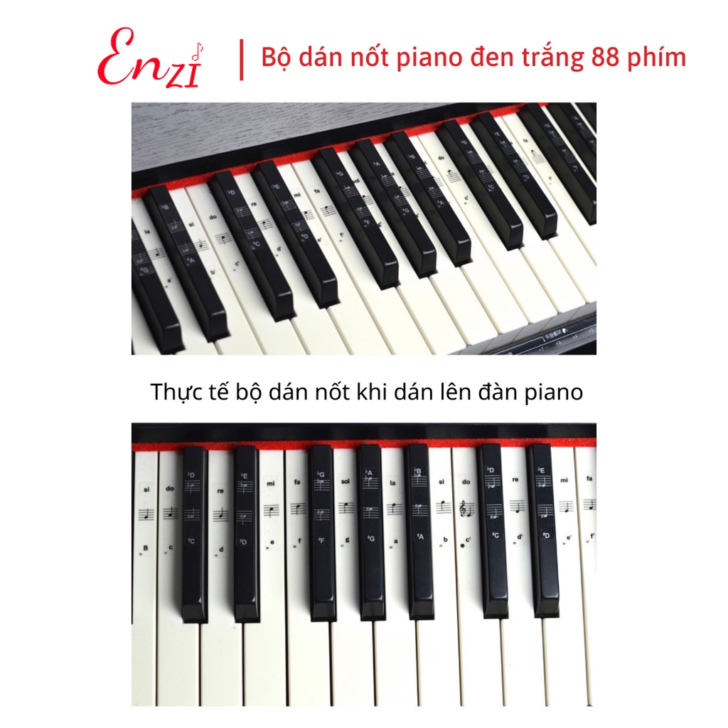 Sticker dán nốt bàn phím đàn piano organ Decal đánh dấu vị trí note nhạc dùng cho tất cả các phím đàn 88, 76, 61, 54, 36