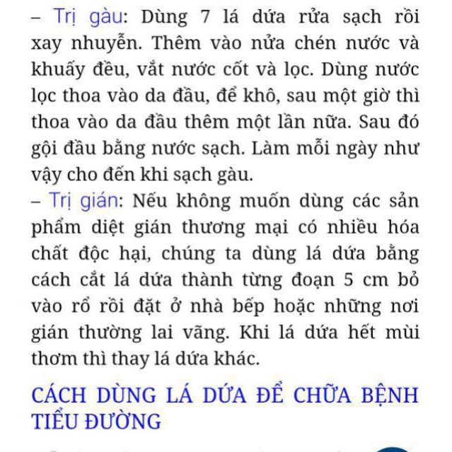 100g trà lá dứa (lá nếp thơm) | BigBuy360 - bigbuy360.vn