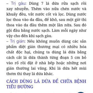 100g trà lá dứa (lá nếp thơm)