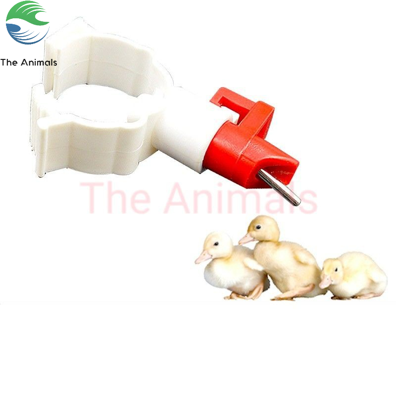 Núm uống nước tự động cho vịt, ngan, ngỗng, gà set 10 cái