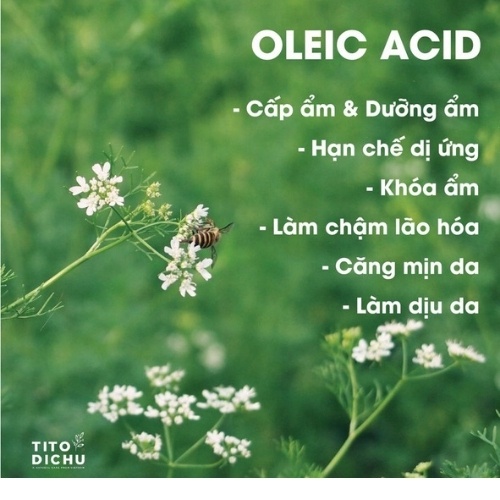 Nước cất mùi già cho da nhạy cảm toner Thủ Công Dưỡng Da Tự Nhiên - Tía Tô Địa Chủ Peri | BigBuy360 - bigbuy360.vn