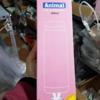 Bình giữ nhiệt cute 500ml