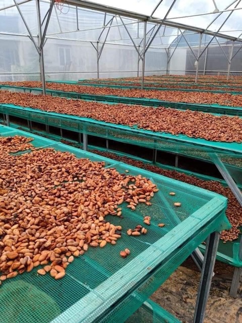 [100% NGUYÊN CHẤT] 500GR BỘT CA CAO ĐẮK LẮK | BigBuy360 - bigbuy360.vn