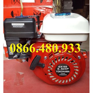 Máy nổ – động cơ xăng yokohama gx-160