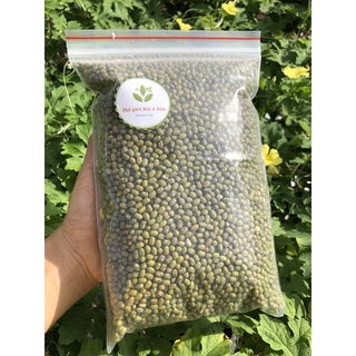 1kg ĐẬU XANH NGUYÊN HẠT- có thể ủ giá- Freeship