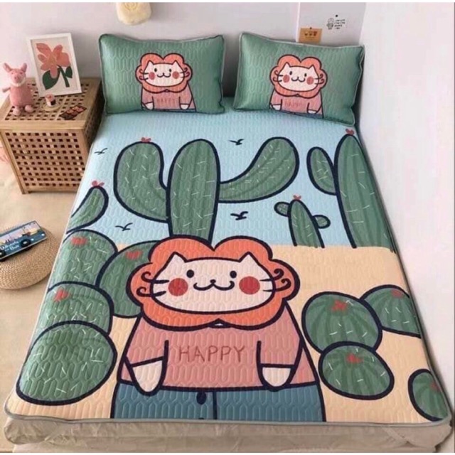 Chiếu điều hoà cao su non