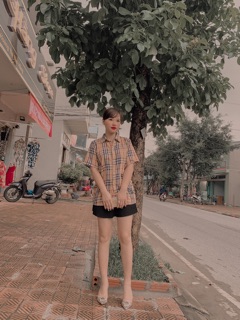 Áo Bbr fom dấu quần
