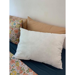 Ruột gối 50x70cm