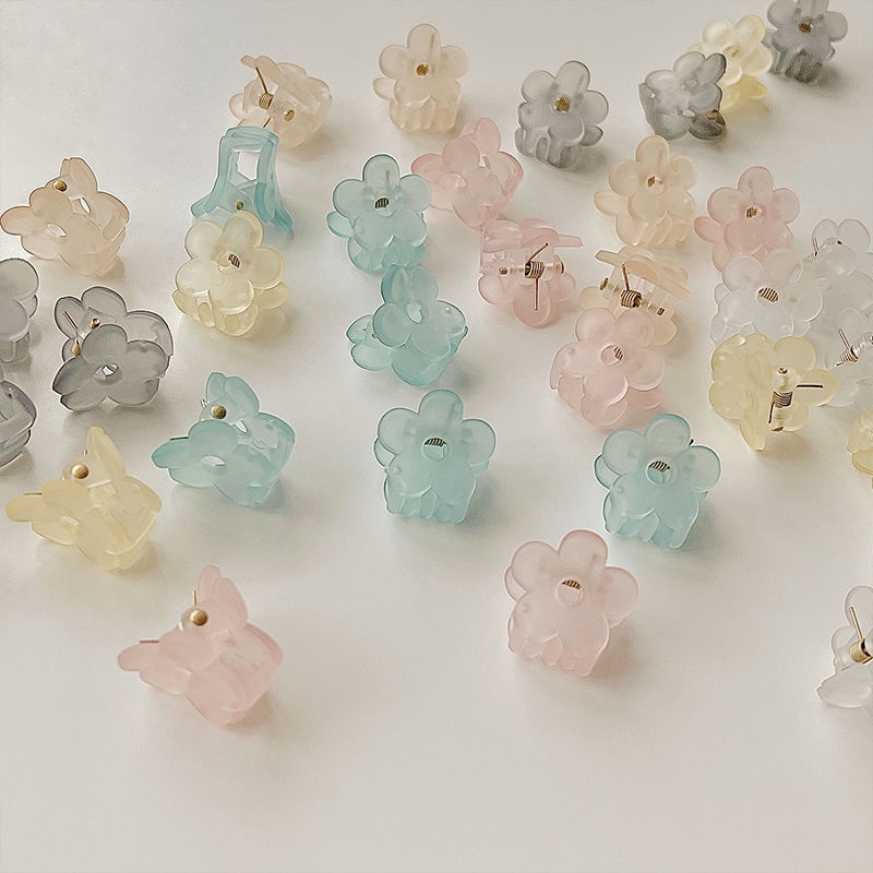 Kẹp Tóc Một Bên Họa Tiết Hoa Nhỏ Xinh Thời Trang Mùa Hè Hàn Quốc Cho Nữ