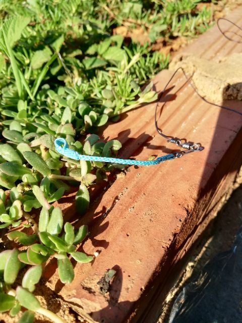 Xích chân chim chào mào / than / lửa ..vv