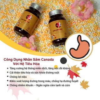 Viên nang Nhân sâm Canada CND GINSENG GOLD (Hộp 60 viên)