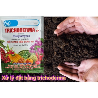 Nấm Đối Kháng Trichoderma SP Bacillus - Streptomyces - 100Gr