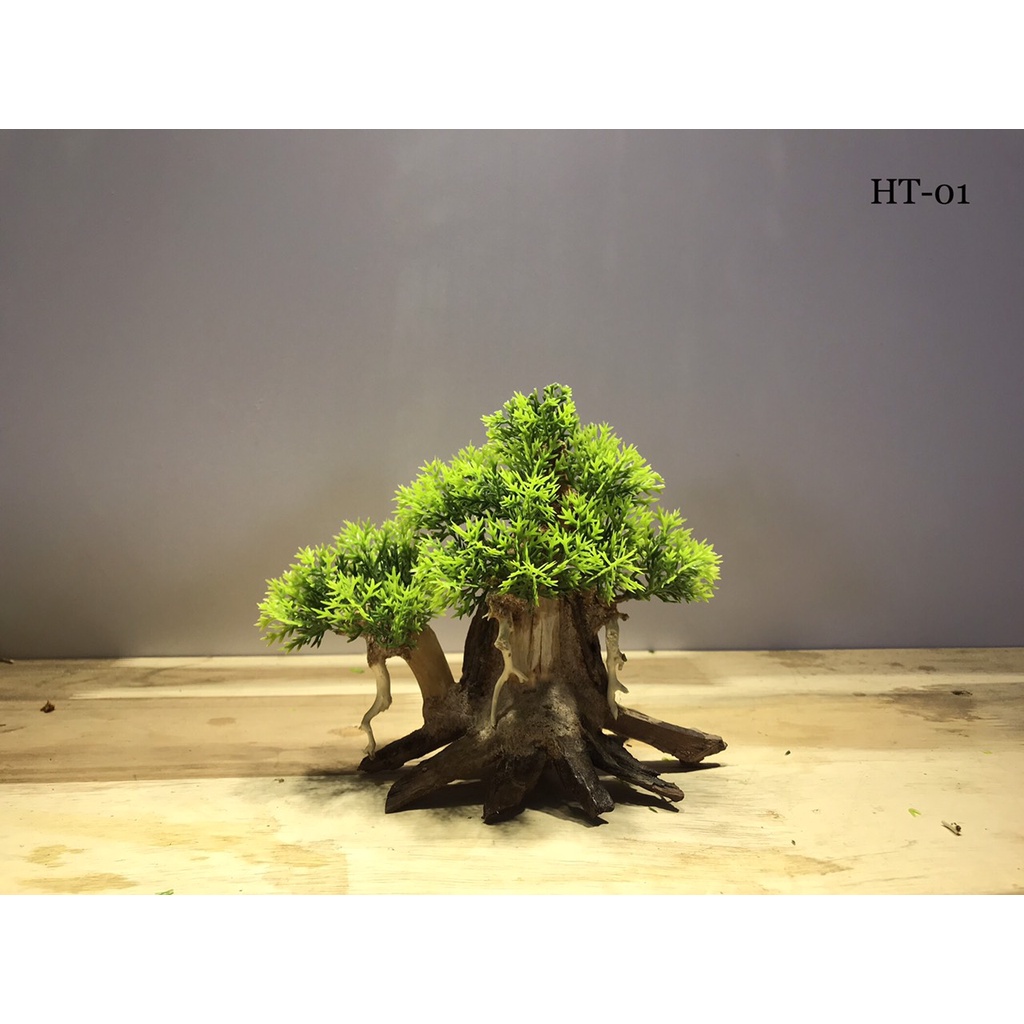 LŨA THUỶ SINH - Bonsai Mini [HT/01]