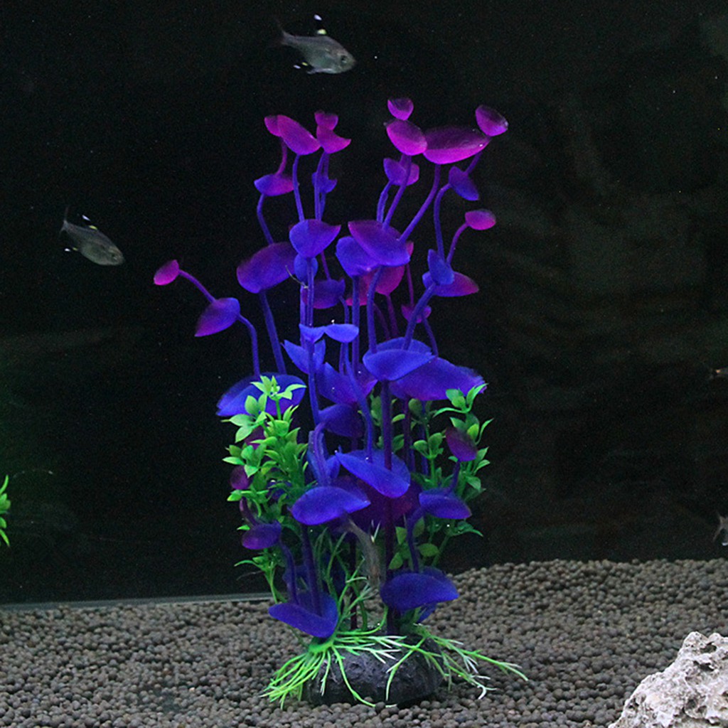 Mô hình cây nhựa trang trí bể cá độc đáo tiện dụng