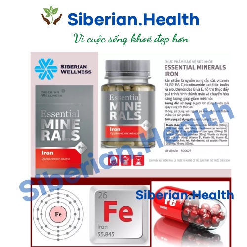Essential Minerals Iron Siberian, hỗ trợ tạo máu và chuyển hóa năng lượng, giảm mệt mỏi - Hộp 60v