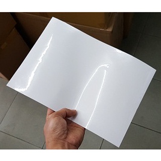 Decal nhựa trong Amazon (100 tờ A3)