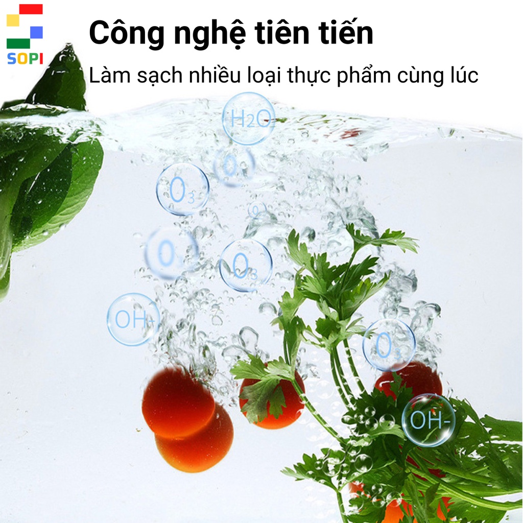 Máy Rửa Rau Củ Quả, Máy Khử Độc Thực Phẩm Bằng Sục Ozone 10, SONETS.