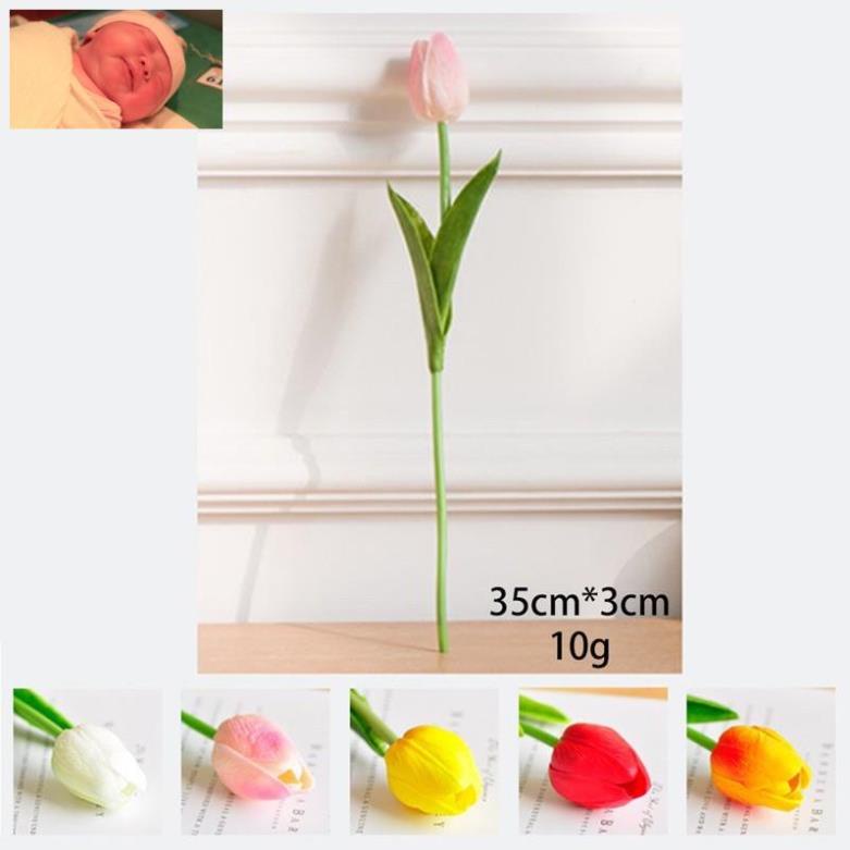 Cành hoa tuy lip nhập khẩu ,giống thật 99% siêu đẹp