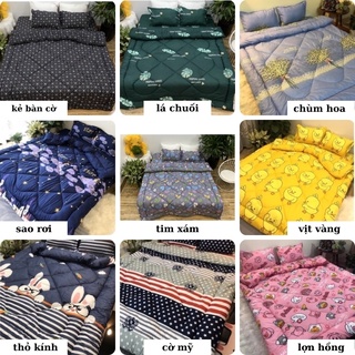 Chăn Phao poly cotton dày dặn ấm mềm mịn