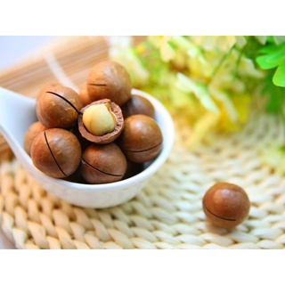 Hạt Macca Nứt Vỏ NHALAM FOOD Nhân Macca Sấy Nguyên Vị Hạt Dinh Dưỡng Thơm Ngon