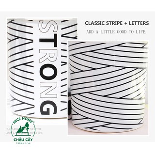 Chậu cây tự dưỡng thông minh - TA05 Stripe