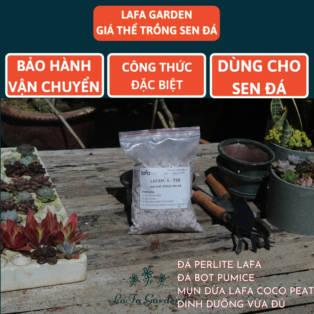 Đất trồng sen đá LAFAMIX-TS9  túi 6 lít, nguyên liệu nhập khẩu đá perlite, đá pumice chuyên trồng cây sen đá